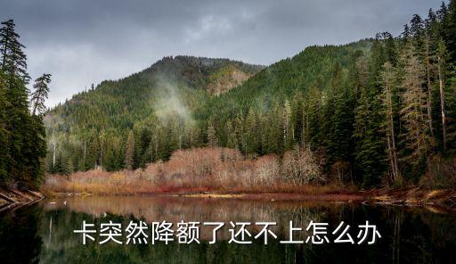 卡突然降额了还不上怎么办