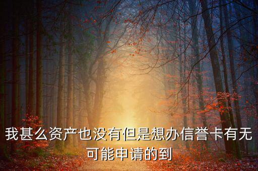 我甚么资产也没有但是想办信誉卡有无可能申请的到