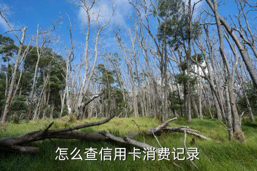 信用卡账单能查到什么记录，怎么查信用卡消费记录