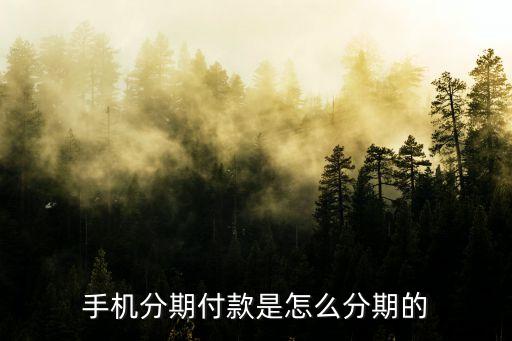 手机分期付款是怎么分期的