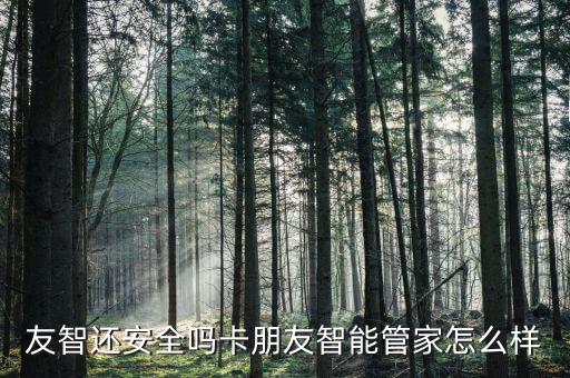 友智还安全吗卡朋友智能管家怎么样
