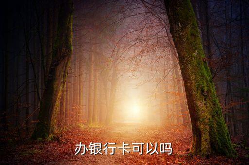 黑户申请信用卡办理,有征信的黑账号可以申请信用卡吗