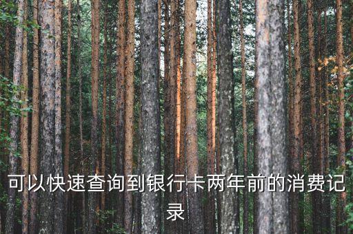 可以快速查询到银行卡两年前的消费记录