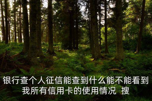 银行查个人征信能查到什么能不能看到我所有信用卡的使用情况  搜