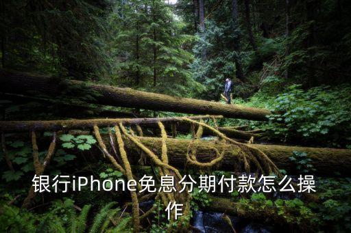 银行iPhone免息分期付款怎么操作