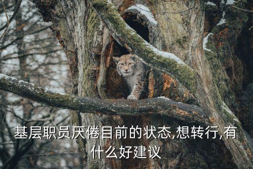 基层职员厌倦目前的状态,想转行,有什么好建议