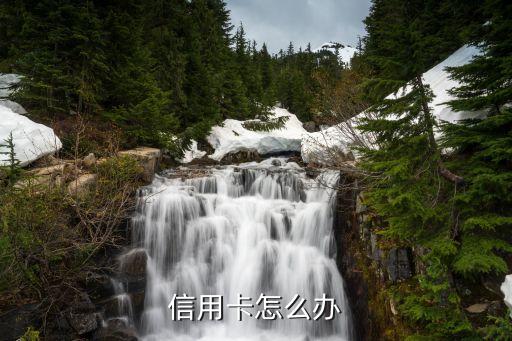 信用卡怎么办
