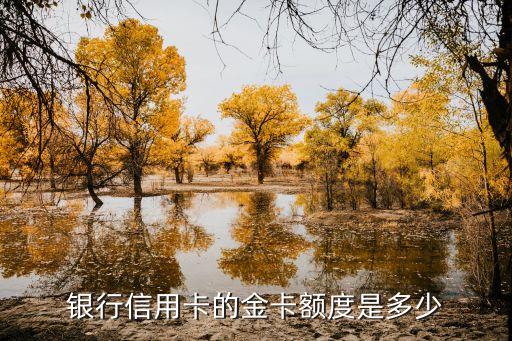 银行信用卡的金卡额度是多少