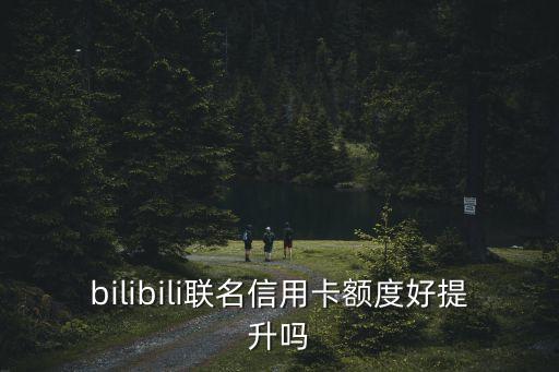 bilibili联名信用卡额度好提升吗