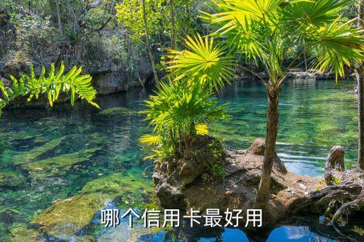 哪个信用卡最好用
