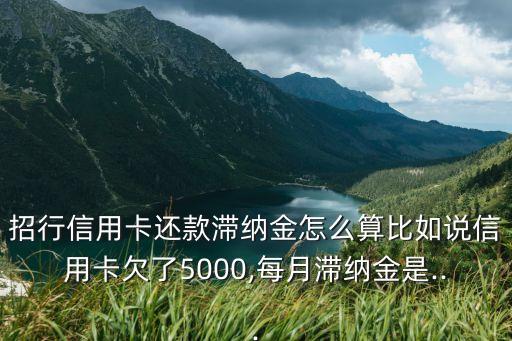 招行信用卡还款滞纳金怎么算比如说信用卡欠了5000,每月滞纳金是...