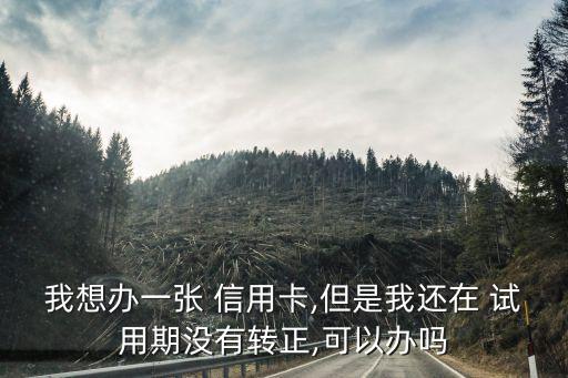 试用期网上申请信用卡,网上申请信用卡哪个银行容易通过