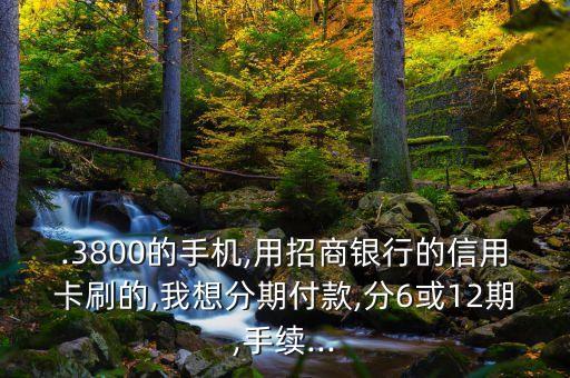 .3800的手机,用招商银行的信用卡刷的,我想分期付款,分6或12期,手续...
