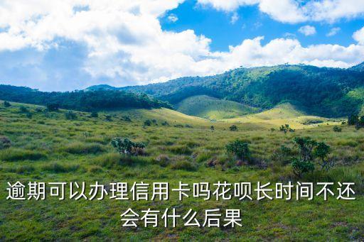 逾期可以办理信用卡吗花呗长时间不还会有什么后果