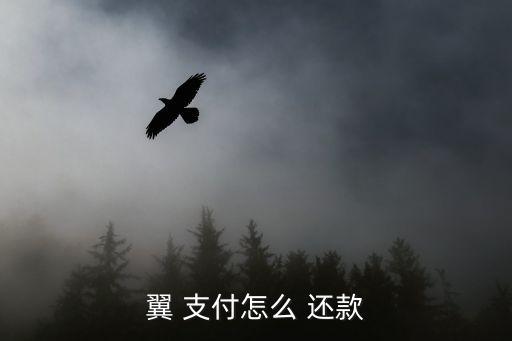 翼支付 信用卡还款