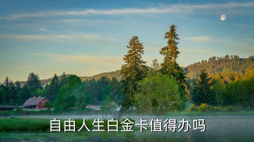 自由人生白金卡值得办吗