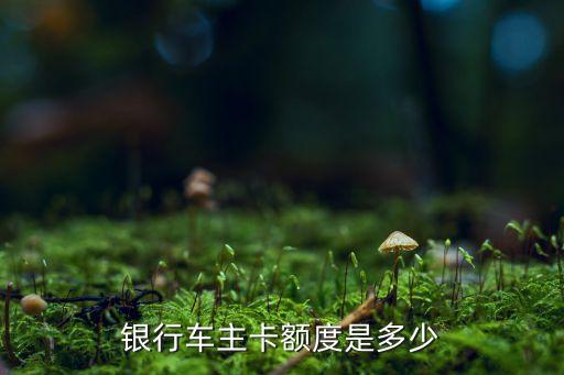 银行车主卡额度是多少