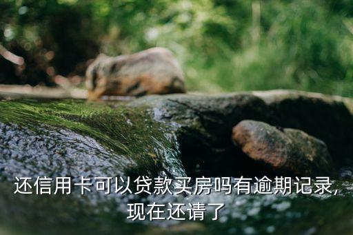 还信用卡可以贷款买房吗有逾期记录,现在还请了