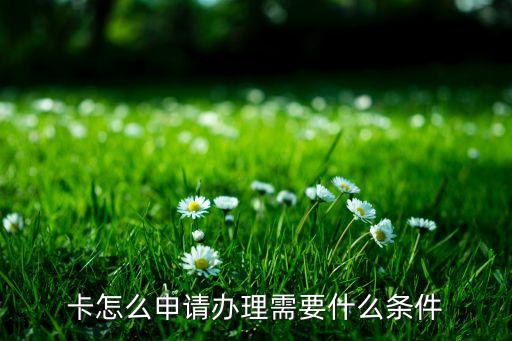 卡怎么申请办理需要什么条件