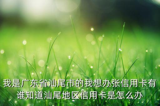 我是广东省汕尾市的我想办张信用卡有谁知道汕尾地区信用卡是怎么办