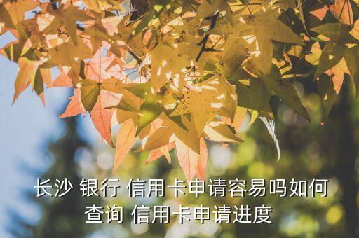  长沙 银行 信用卡申请容易吗如何查询 信用卡申请进度