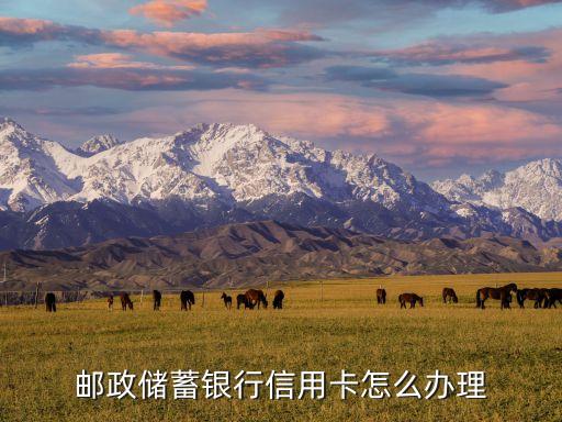 邮政储蓄银行信用卡怎么办理