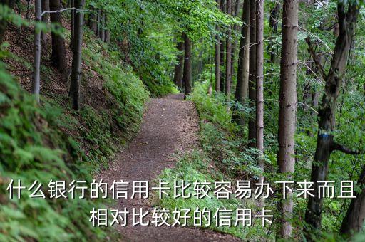 什么银行的信用卡比较容易办下来而且相对比较好的信用卡
