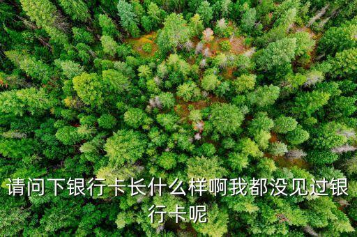 请问下银行卡长什么样啊我都没见过银行卡呢