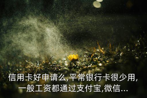 信用卡好申请么,平常银行卡很少用,一般工资都通过支付宝,微信...