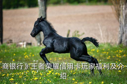 王者荣耀的信用卡怎么申请,广发王者荣耀信用卡