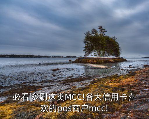 必看|多刷这类MCC!各大信用卡喜欢的pos商户mcc!