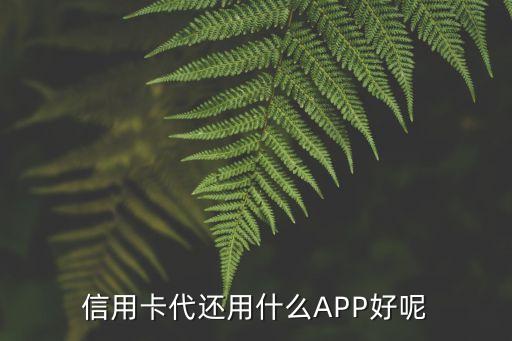 什么软件可代还信用卡分期，代还信用卡的软件哪些比较好