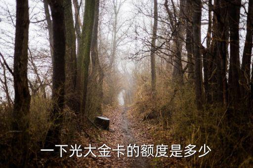一下光大金卡的额度是多少