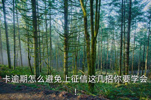 卡逾期怎么避免上征信这几招你要学会!
