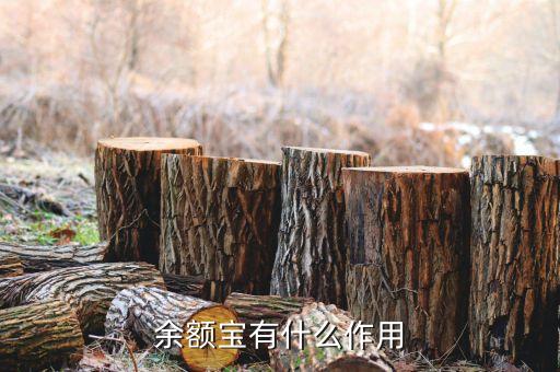 余额宝和信用卡有什么不同，余额宝给自己和他人信用卡还款有什么区别