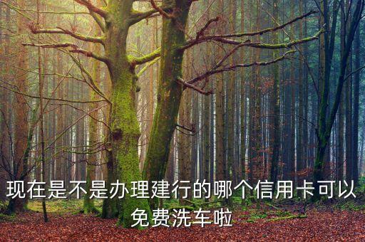 办理什么信用卡免费洗车，哪个银行申请信用卡可免费洗车