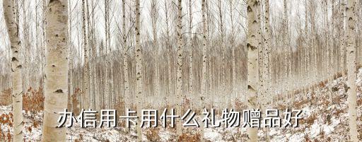 信用卡送什么礼包，我是银行信用卡业务员想定一些小礼品送给客户们做推广用送哪些
