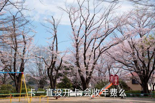 银行信用卡不开通收年费吗,甘肃银行信用卡收年费吗