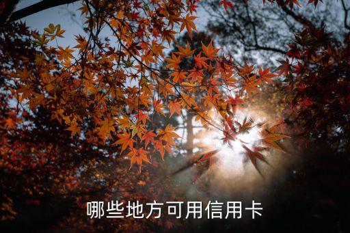 哪些地方可用信用卡