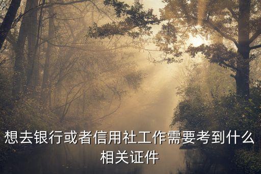 想去银行或者信用社工作需要考到什么相关证件