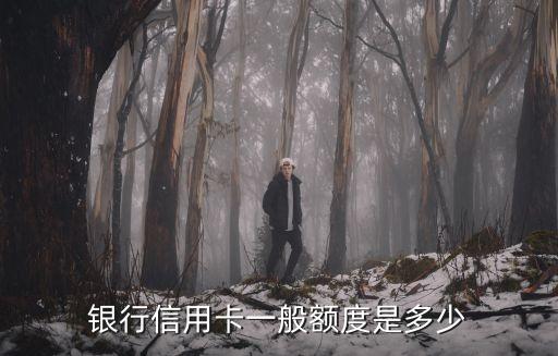 银行信用卡一般额度是多少