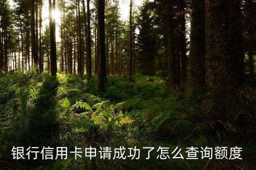 银行信用卡申请成功了怎么查询额度