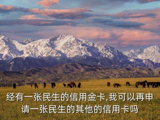 经有一张民生的信用金卡,我可以再申请一张民生的其他的信用卡吗