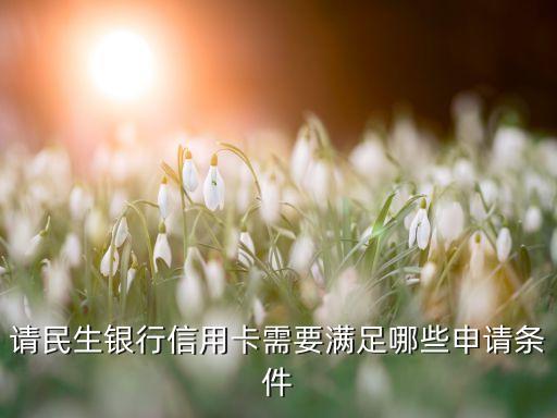 请民生银行信用卡需要满足哪些申请条件
