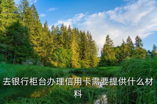 去银行柜台办理信用卡需要提供什么材料