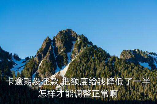 卡逾期没还款,把额度给我降低了一半怎样才能调整正常啊