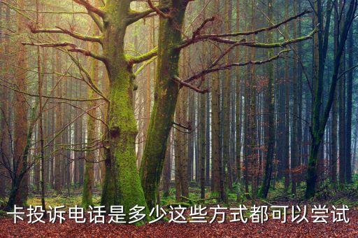 卡投诉电话是多少这些方式都可以尝试