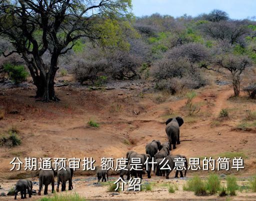 线上申请信用卡预批额度,信用卡线下和线上申请有什么不同