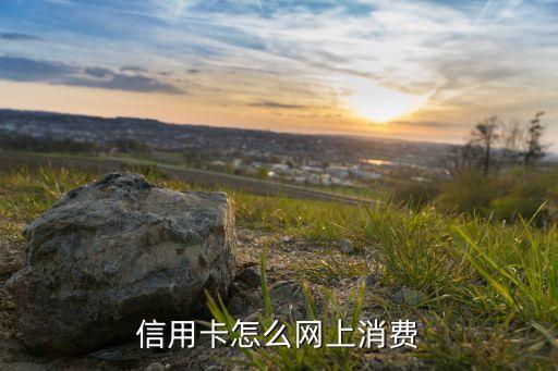 信用卡怎么网上消费