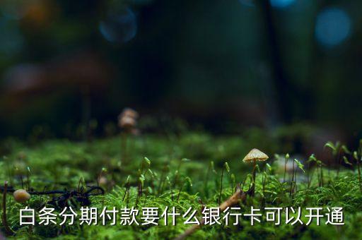 白条分期付款要什么银行卡可以开通